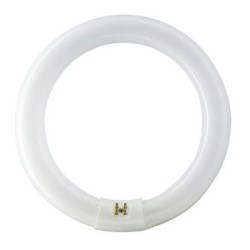TUBE FLUO TL-E 22W/840 T9 CIRC. PHILIPS **