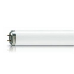 Osram Tube Fluorescent Lumilux T8 36W / 954