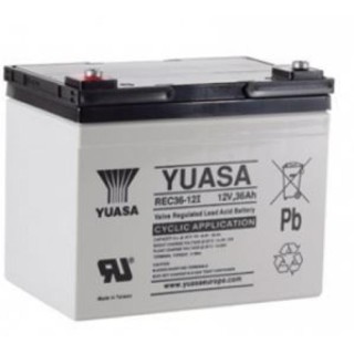 Batterie Plomb cyclique YUASA 12V REC36-12I - Origine