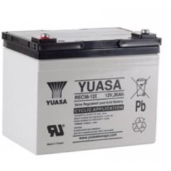 Batterie Plomb cyclique YUASA 12V REC36-12I - Origine