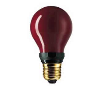 LAMPE HALOGÈNE ROUGE PF712E  DR. FISCHER