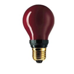 LAMPE HALOGÈNE ROUGE PF712E DR. FISCHER
