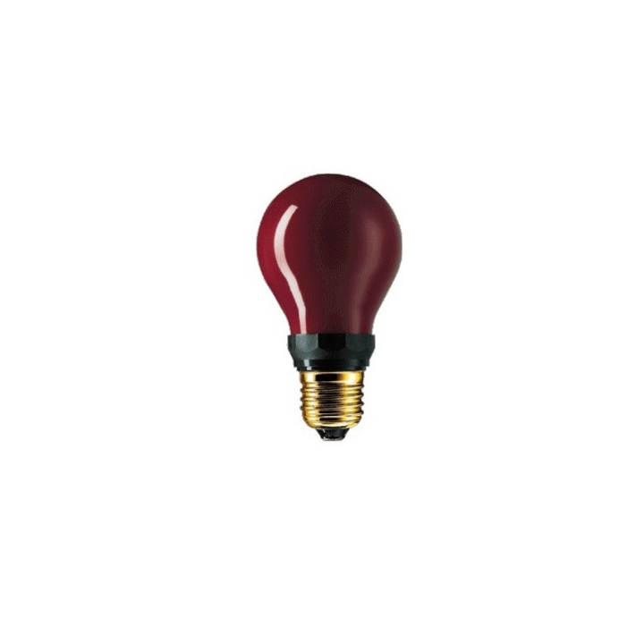 LAMPE HALOGÈNE ROUGE PF712E  DR. FISCHER