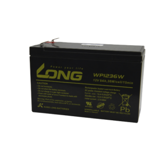 BATTERIE 12V 9,0AH LONG WP1236W
