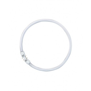 Tube fluorescent Osram Lumilux Circulaire FC40W/840 T5