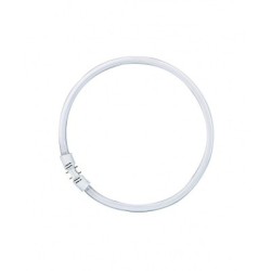 Osram Tube Fluorescent Lumilux Circulaire FC40W/840 T5