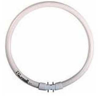 TUBE FLUO FC22W/840 T5 CIRC. OSRAM **