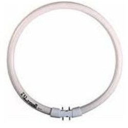 TUBE FLUO FC22W/840 T5 CIRC. OSRAM **